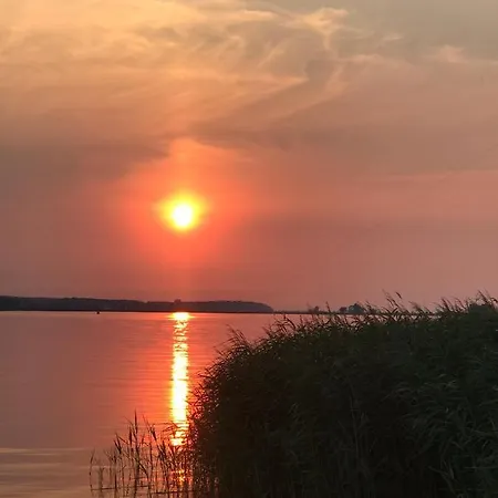 Goa Auf Usedom *