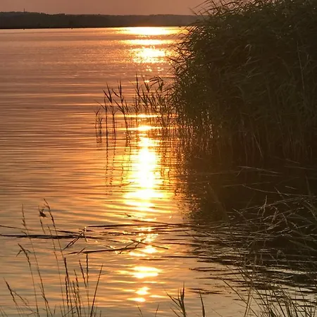 Goa Auf Usedom *