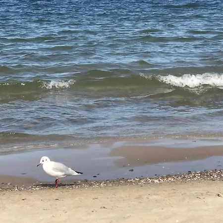 Goa Auf Usedom *